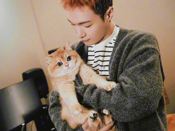 愿如风有信,长与日俱中,浅予深深,长乐未央.