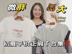 Download Video: 几十米的平价正肩T！显瘦百搭不露腰！！