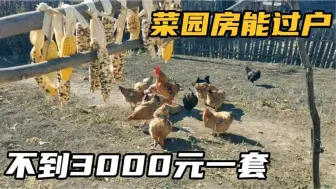 Tải video: 黑龙江伊春乌拉嘎镇，不到3000一套菜园房，有自来水，能过户！