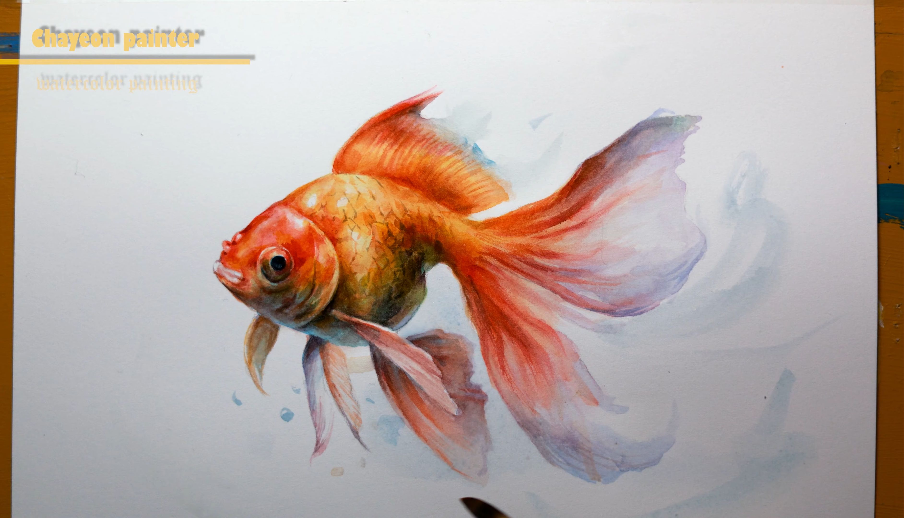 chayeon painter 金鱼水彩画教程goldfish watercolor painting