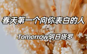 【Tomorrow明日塔罗】春天第一个向你表白的人是谁？TA内心想对你说的话，timeless无时间限制