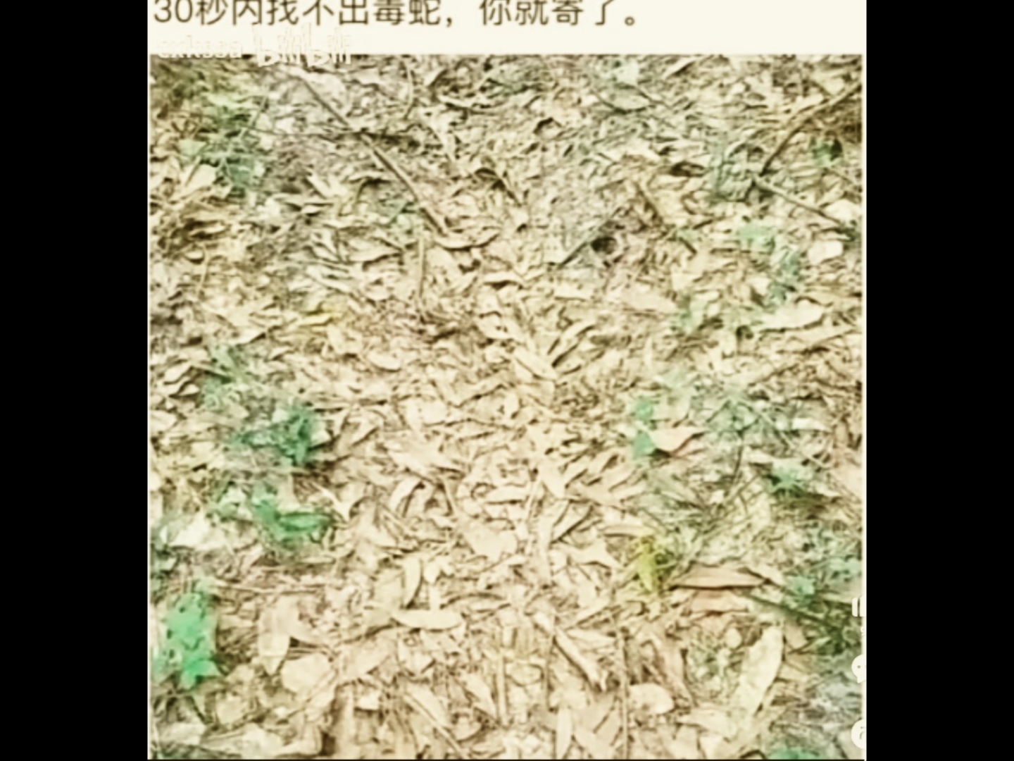 八张图八亿个故事