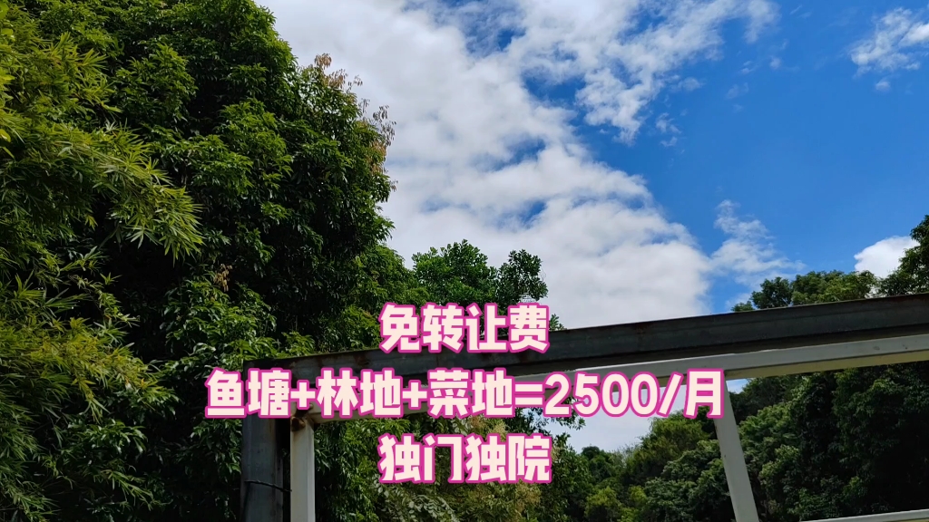 罗湖大望独门独院山泉水鱼塘林地菜地每月2500元哔哩哔哩bilibili