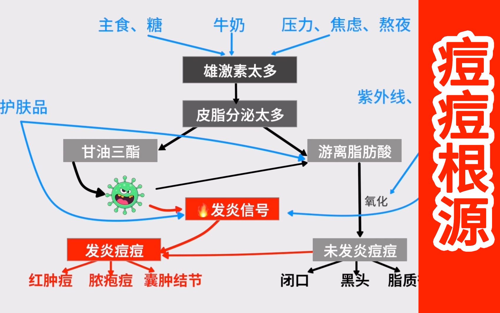 【痘痘的根源】引起反复痘痘问题的全通路解释 抗痘之路不迷路哔哩哔哩bilibili