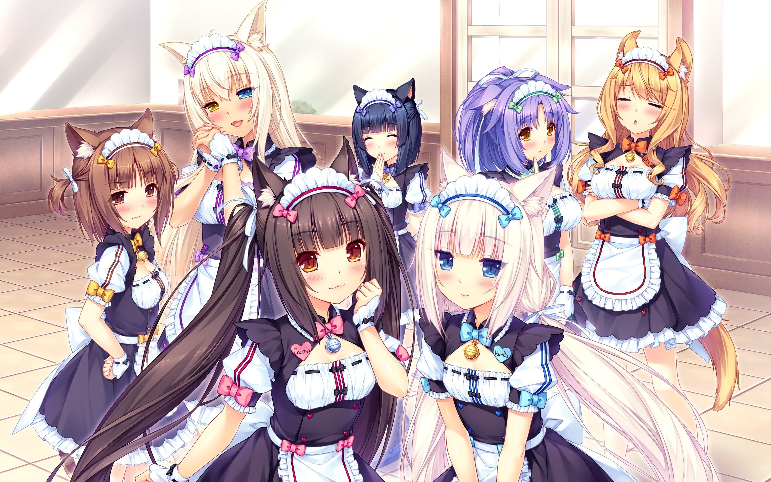 [图]【NEKOPARA】猫娘乐园 进来吸猫呀~