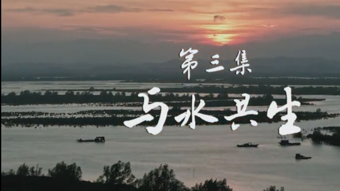《平陆运河》第3集：与水共生