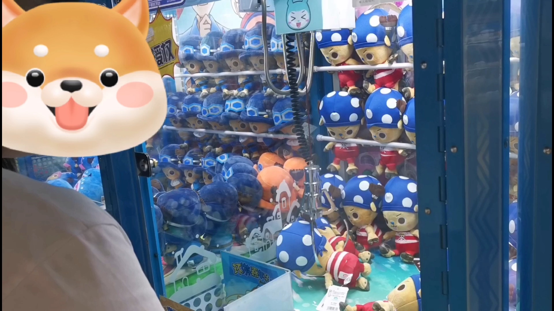 抓娃娃#游戏厅遇大神抓娃娃,最后一个成_哔哩哔哩 (゜-゜)つロ 干杯