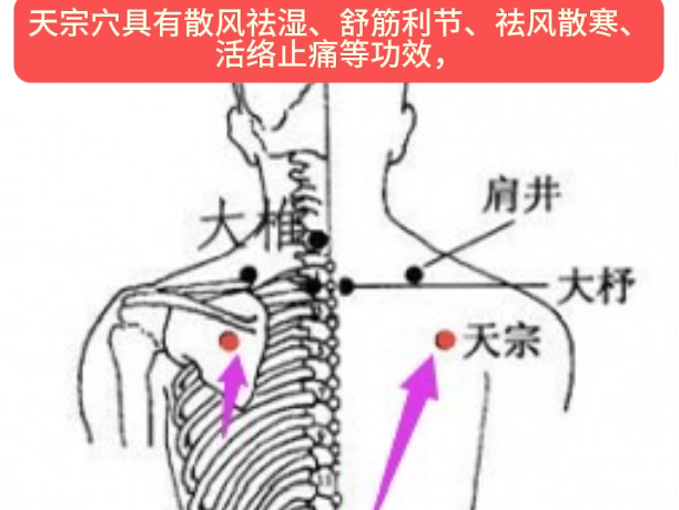 天宗穴哔哩哔哩bilibili