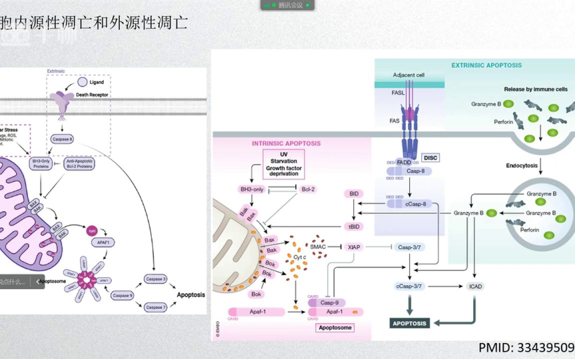 课程5临床医学科研设计系列课程医学会员免费学哔哩哔哩bilibili