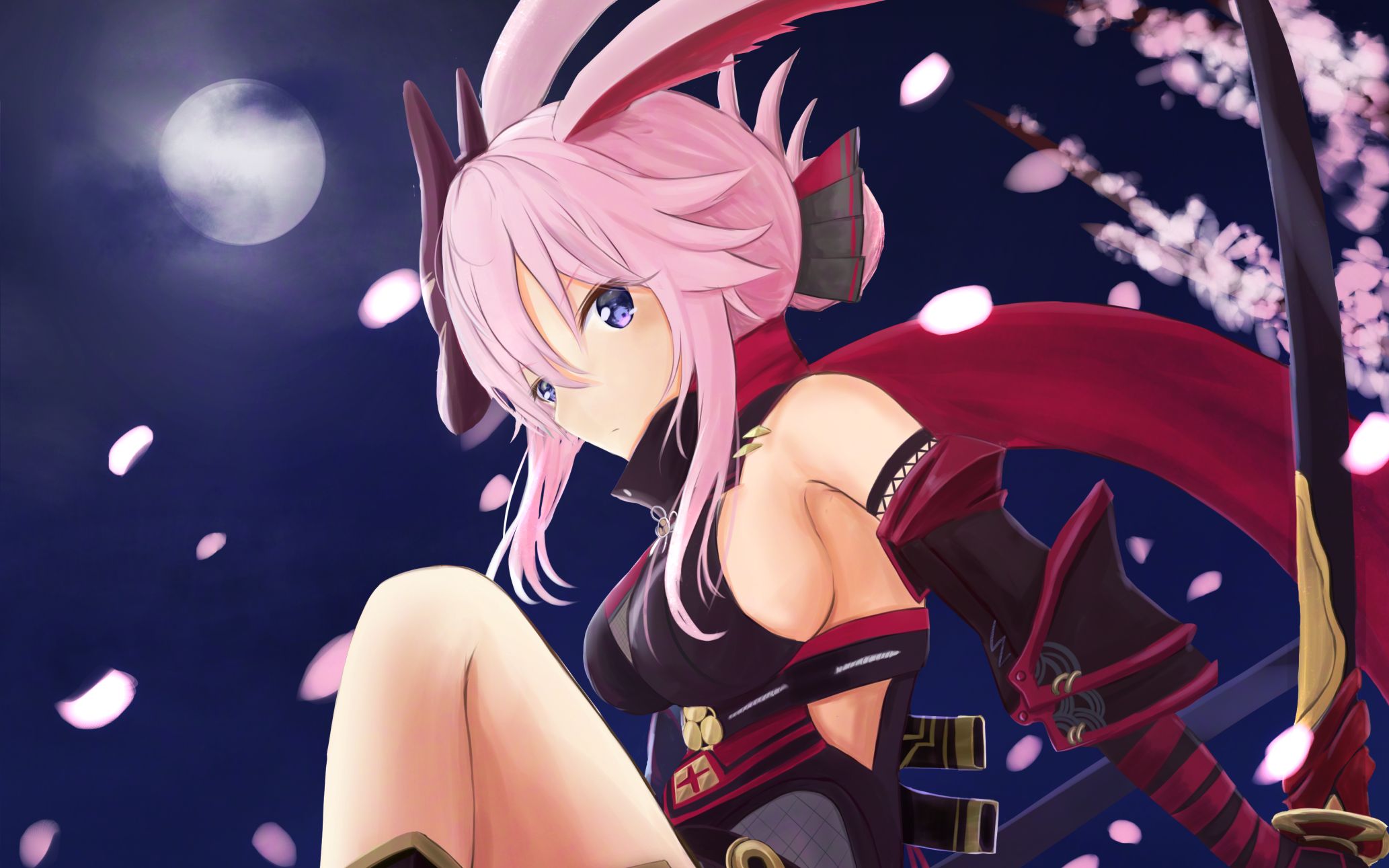 【崩坏3/mmd】夜隐重霞 · 響喜乱舞