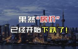 房价连续暴跌8个月,为何难止跌势?投行人为你深度分析统计局公布的经济数据哔哩哔哩bilibili