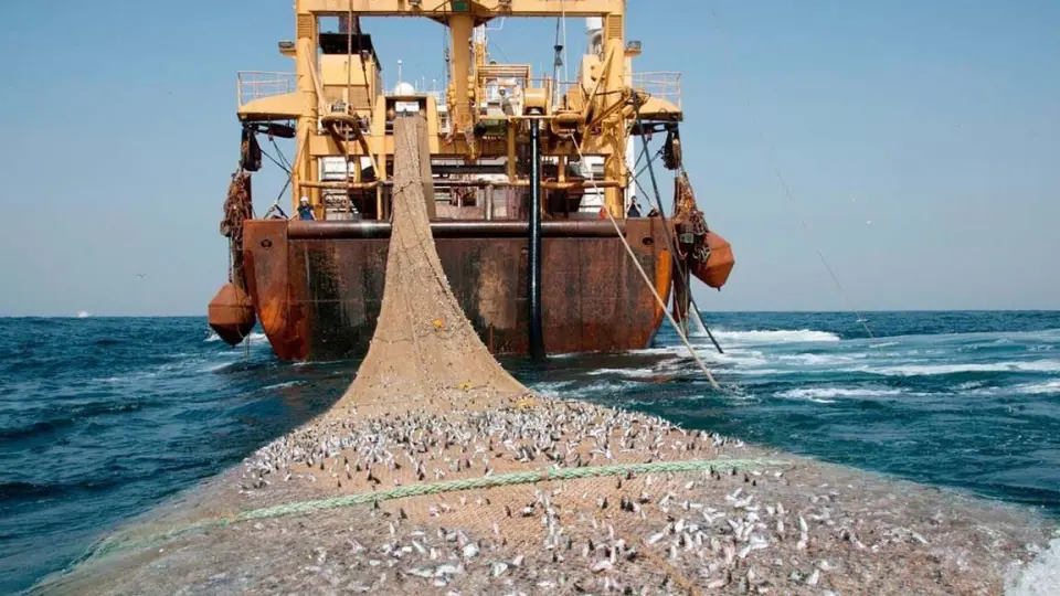  釣魚鹽水大型巨鯊和鱷魚鉤超強不銹鋼大型釣魚鋒利的金槍魚