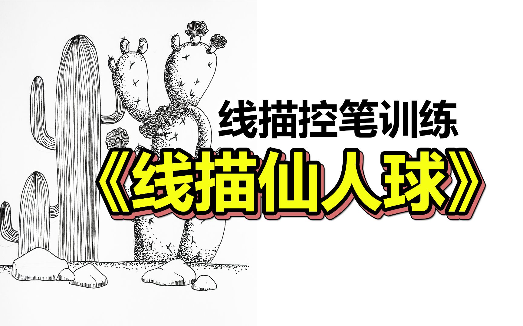 [图]【美术课分享】线描仙人球 | 线描控笔训练