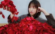 鲜花饼