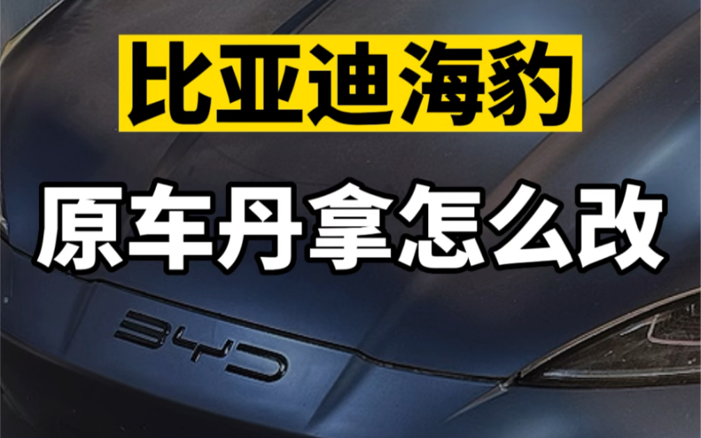 原车丹拿如何提升音质? #比亚迪海豹 #丹拿汽车音响 #杭州汽车音响改装哔哩哔哩bilibili