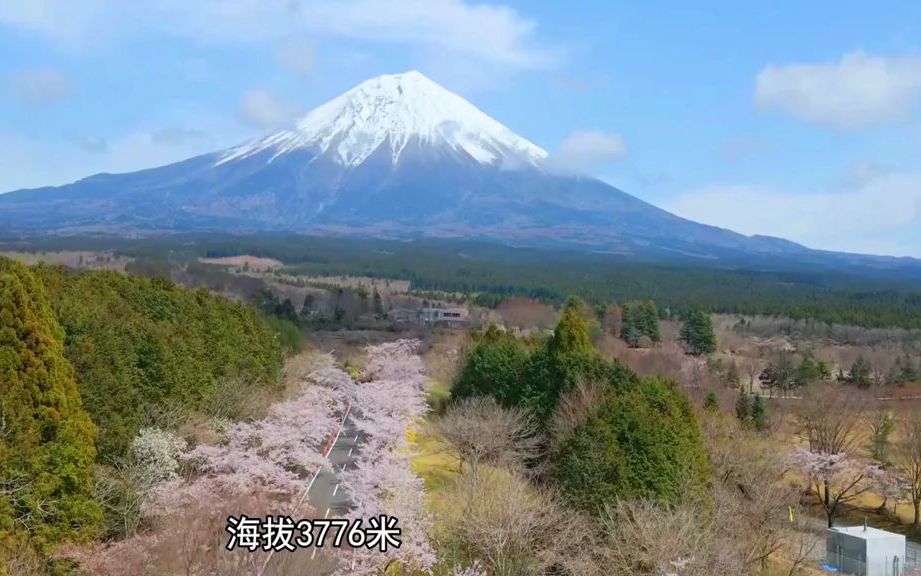 【你不知道的地理知识】关东平原,岛国重地,日本最大平原!哔哩哔哩bilibili