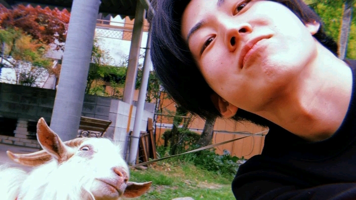 【加藤健】cool kids