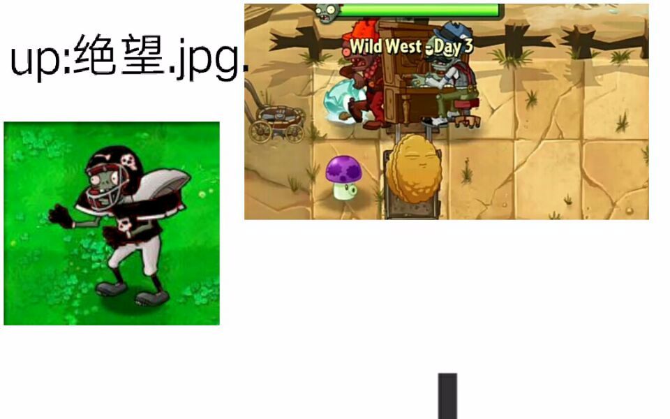 植物大战僵尸2国际版:粉丝关卡(视频最后有关于视频的纠正)