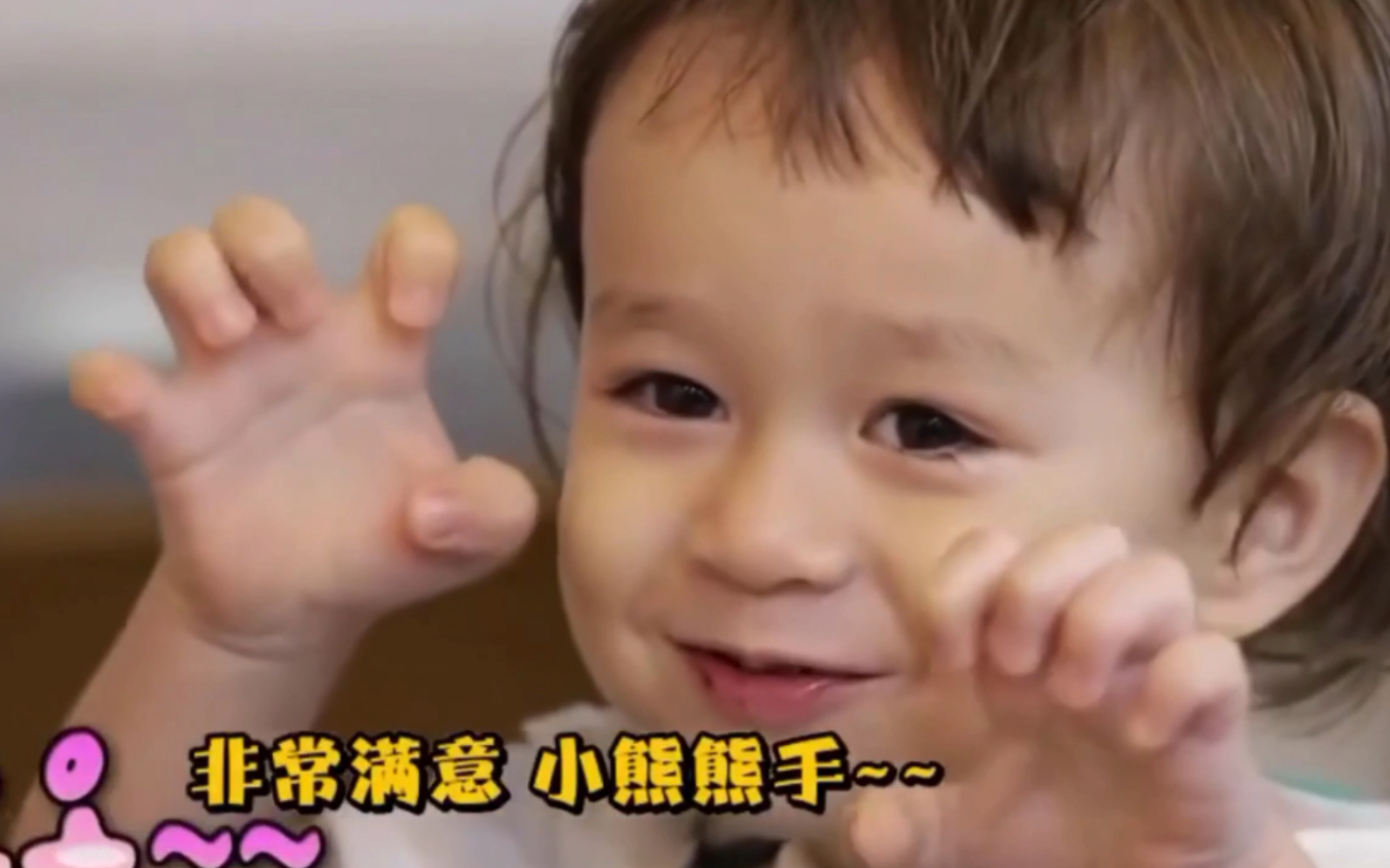 奶威的软糖朋友小熊熊的一生