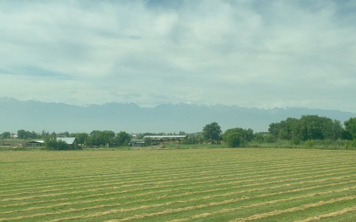 哈萨克斯坦的原野