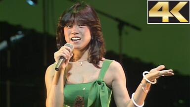 中森明菜】リバーサイドホテル河畔酒店2005年演唱会