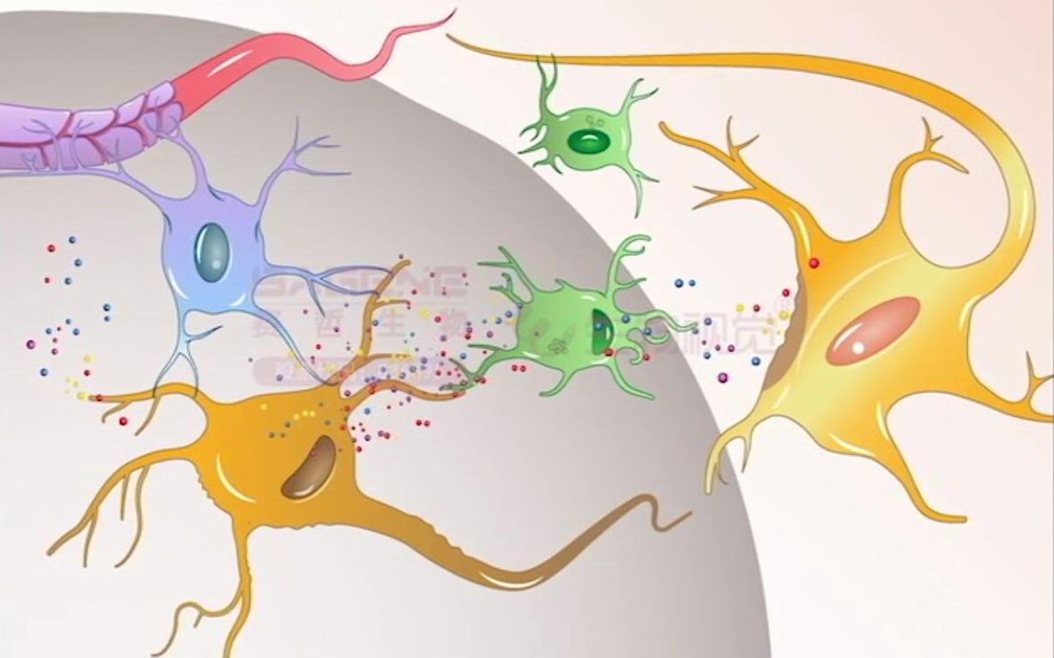 【生物视觉】大神教你一分钟绘制论文插图——Nerve Cells哔哩哔哩bilibili