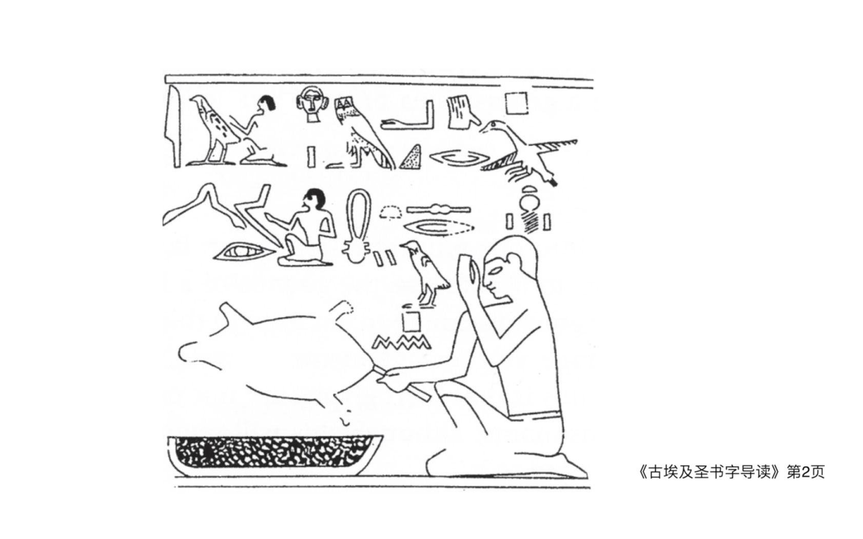 [图]02.古埃及象形文字入门：圣书字字符的形态