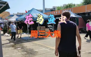 Télécharger la video: 带你逛一逛天津的花鸟鱼虫市场大集