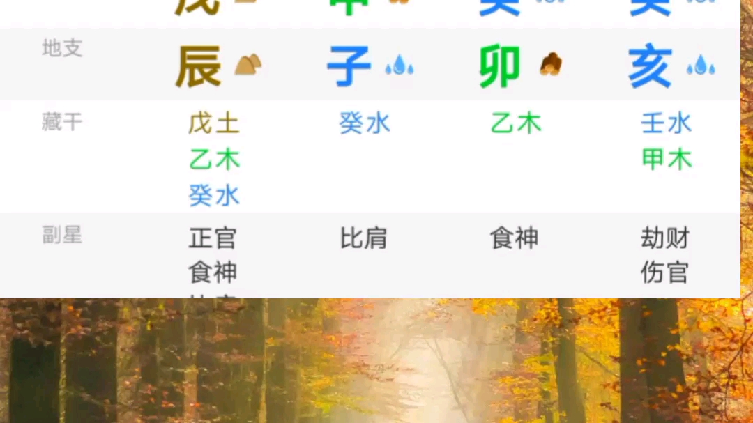 粉丝八字白嫖连载,癸卯亥子辰戌子哔哩哔哩bilibili