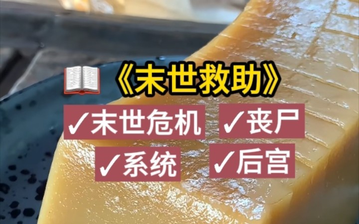 “太太,食物我有,但你拿什么交换?”哔哩哔哩bilibili