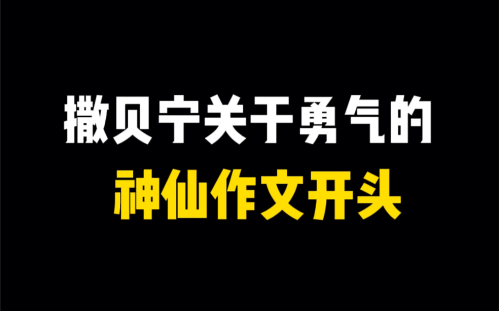 撒贝宁关于勇气的神仙作文开头哔哩哔哩bilibili