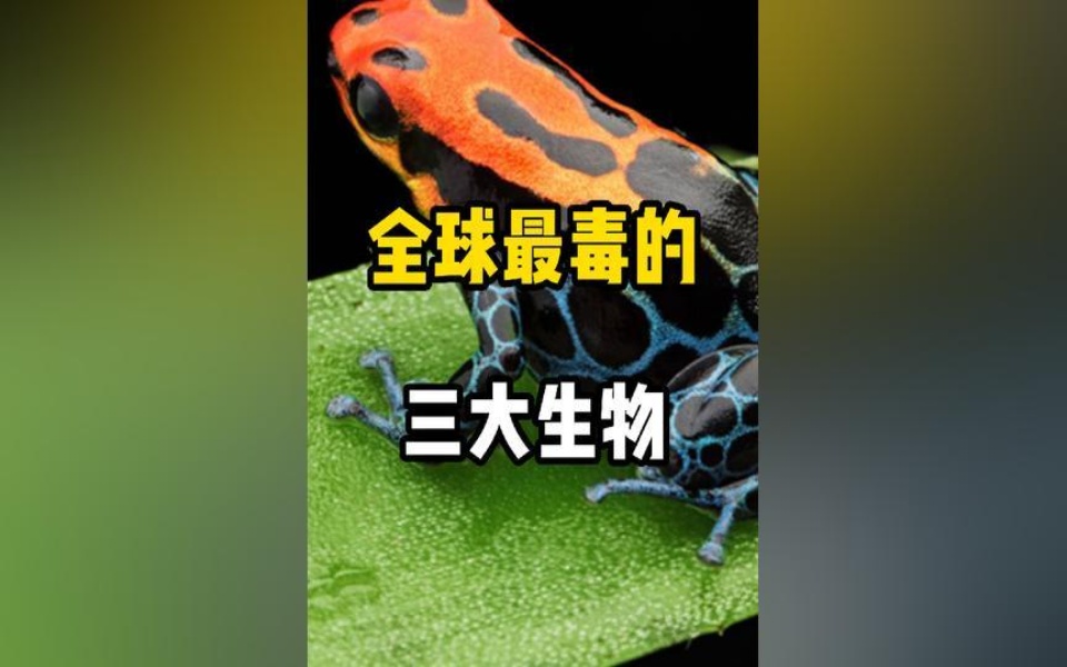 全球最毒的三大生物都有哪些?第一名让人闻风丧胆!科普