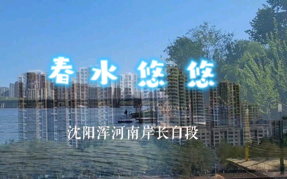 《春水悠悠》水边杨柳曲尘丝,立马烦君折一枝.惟有春风最相惜,殷勤更向手中吹.哔哩哔哩bilibili