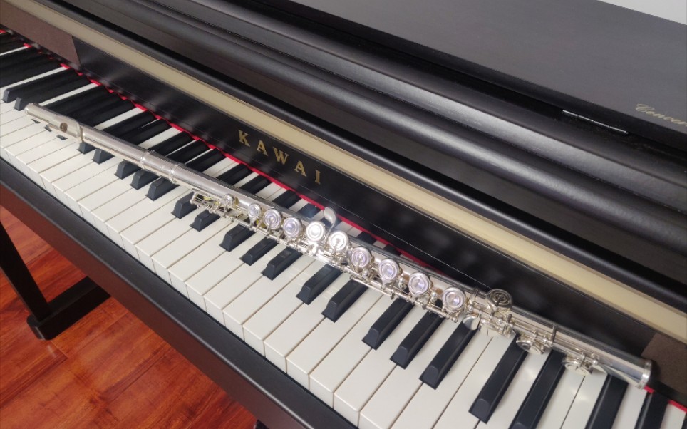 长笛钢琴梁静茹儿歌片段