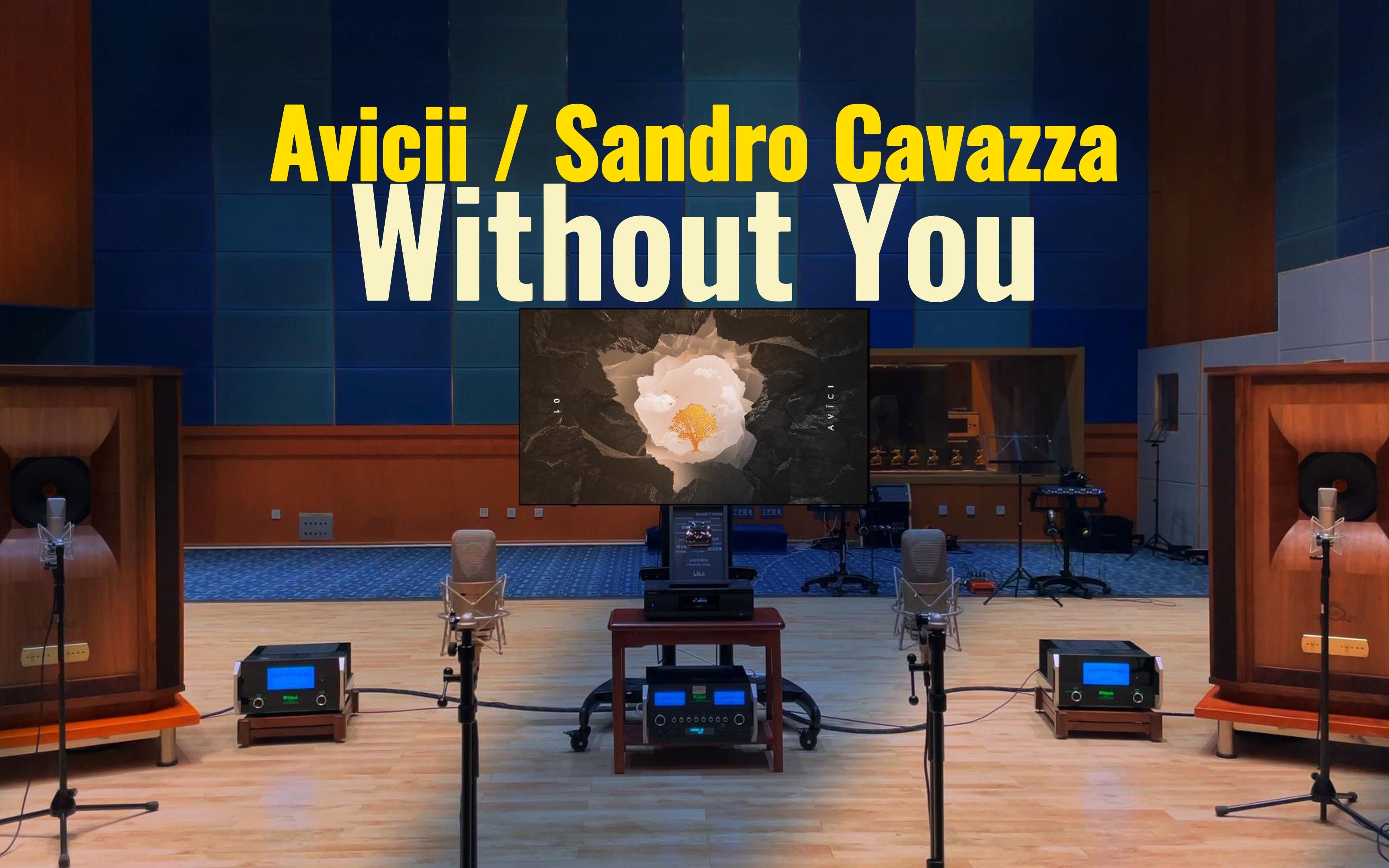 [图]百万级装备听《Without You》- Avicii，Sandro Cavazza【Hi-Res】