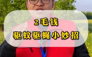 Tải video: 驱蚊驱蝇小妙招