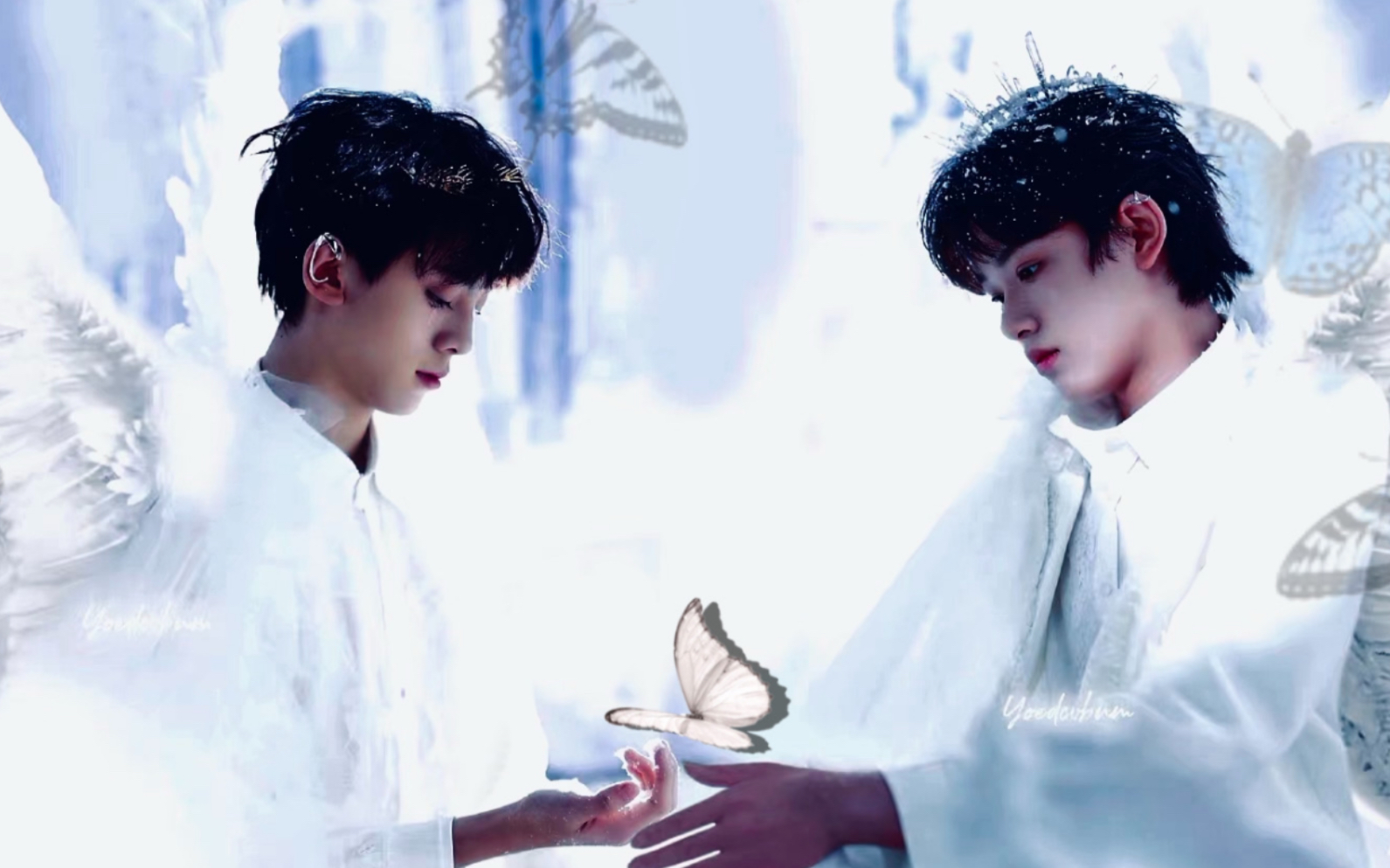 【tf家族三代】 【极地航行】我的『在第一天降临』关键词:crazy &