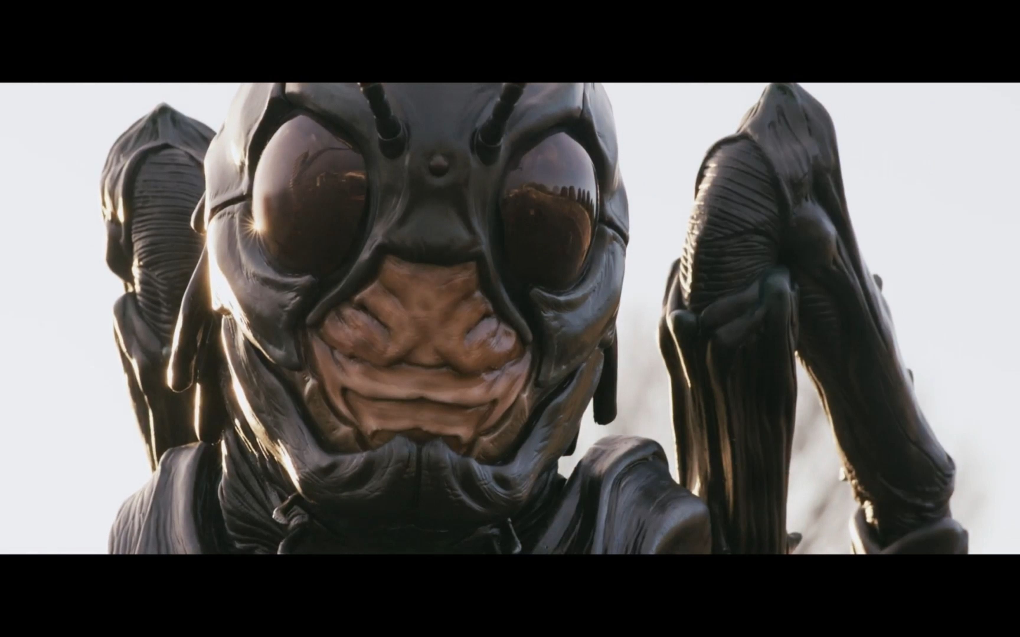 假面骑士black sun黑日 01-02集上线!