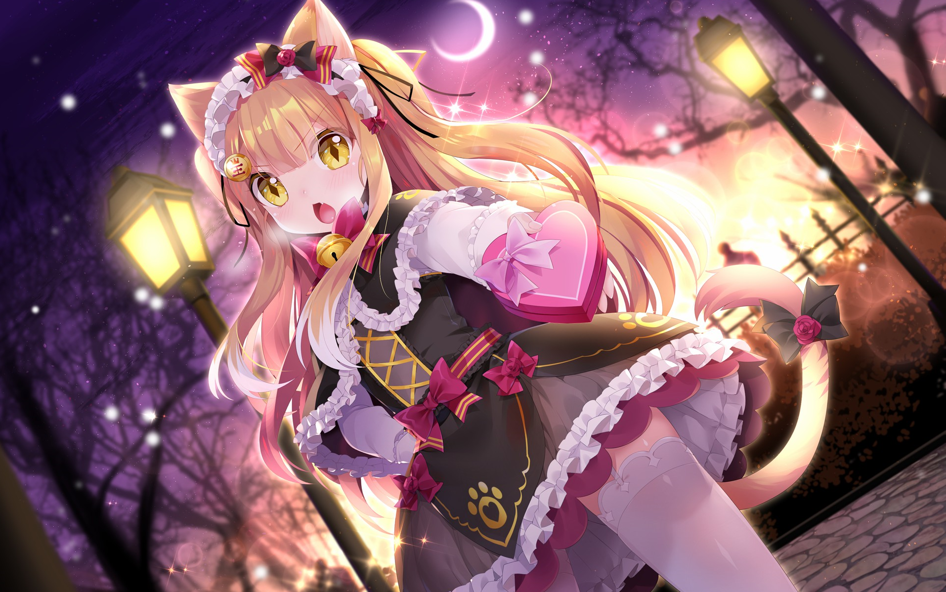 【兽耳科技】2018.5.