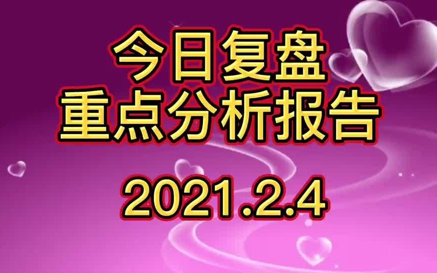 2月4日复盘大盘北向资金流向主力资金流向热点板块分析哔哩哔哩bilibili