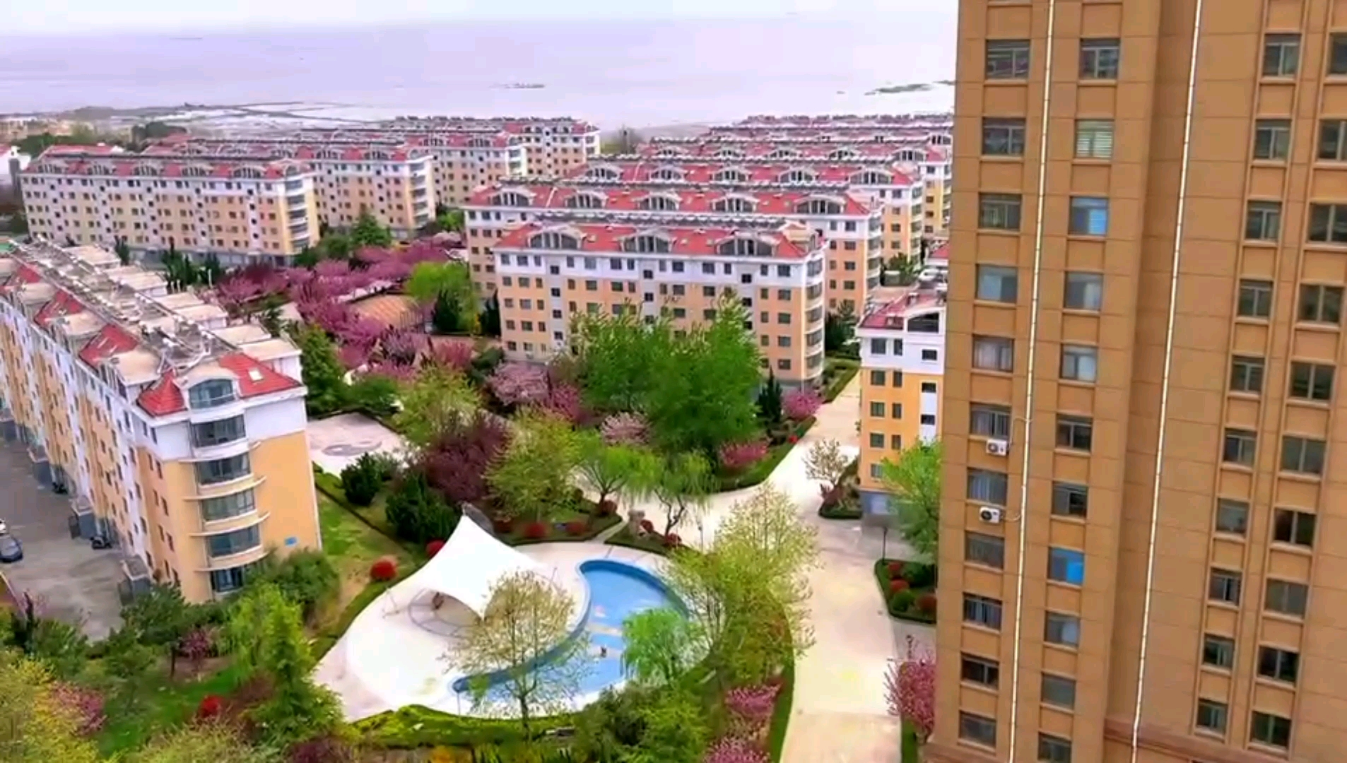 乳山银滩海景房银泰海景花园,樱花烂漫满庭院,与你相约