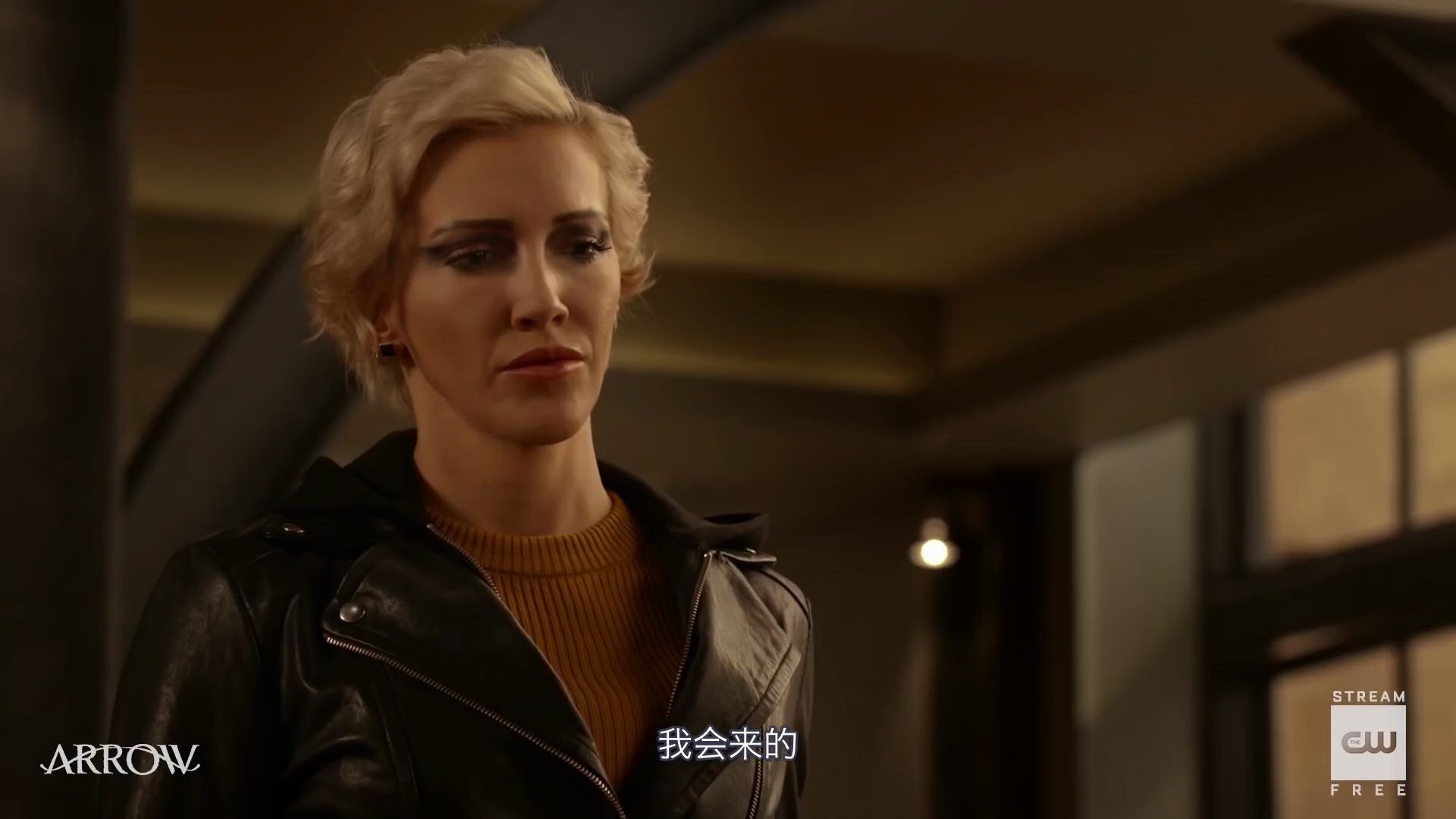 【熟肉】黑金丝雀为绿箭侠而战 《绿箭侠》第八季第九集预告_哔哩哔哩