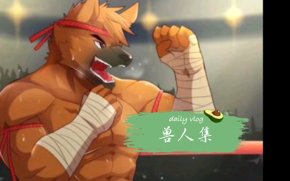 兽人控小心(17ò 66 ó17)_哔哩哔哩_bilibili