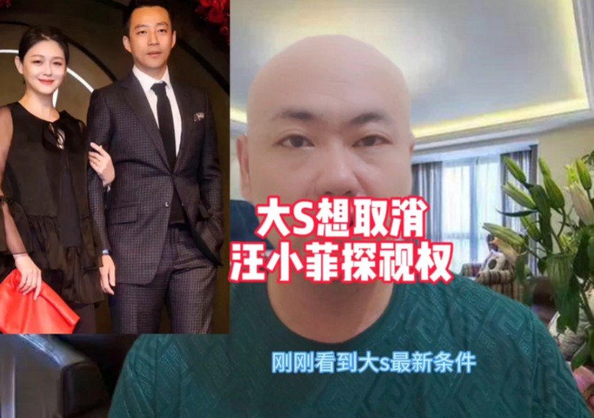 大s想取消,汪小菲探视权