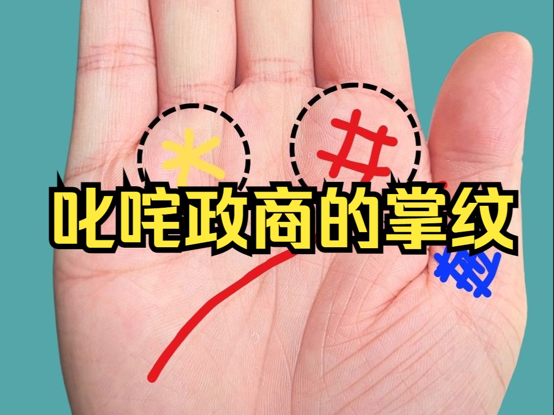 叱咤政商的掌纹哔哩哔哩bilibili