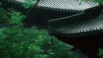 动物圈 30