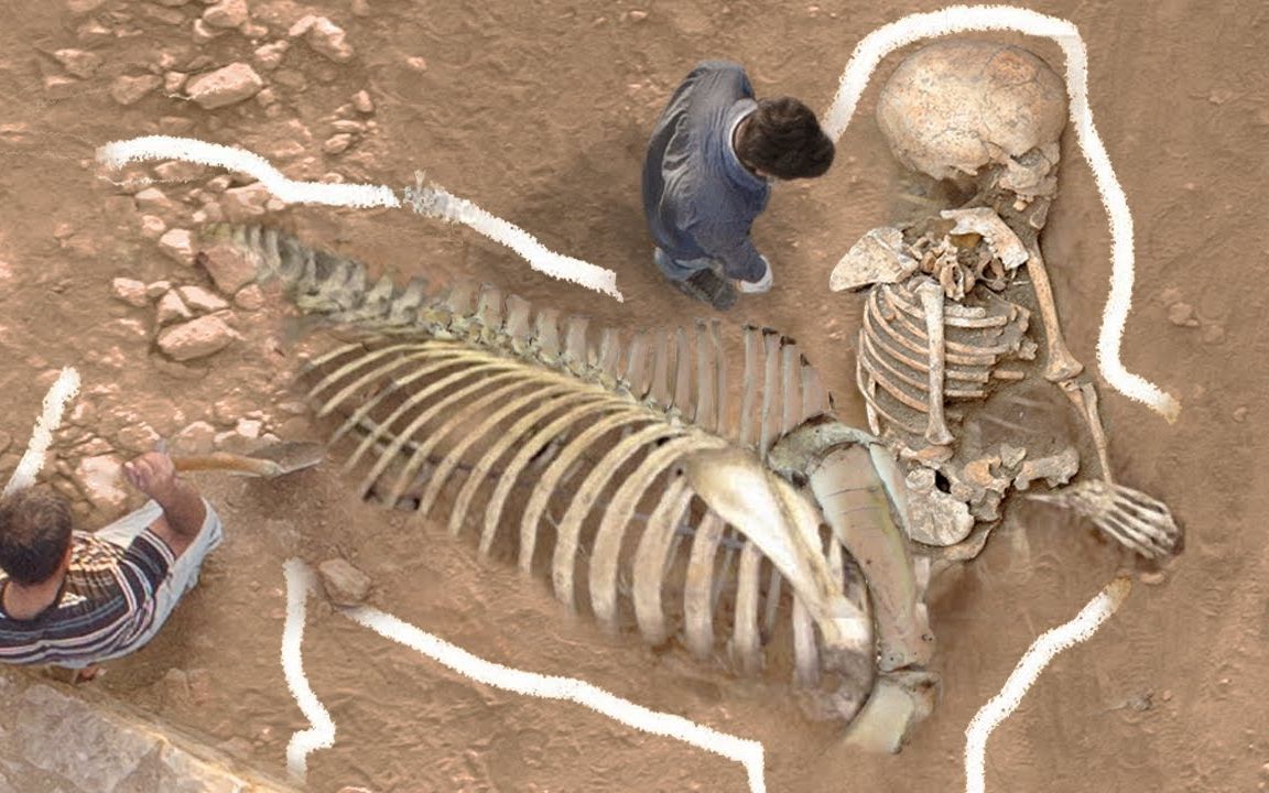 发现半人马骨架?