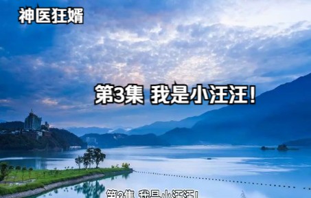 神医狂婿 第3集 我是小汪汪哔哩哔哩bilibili