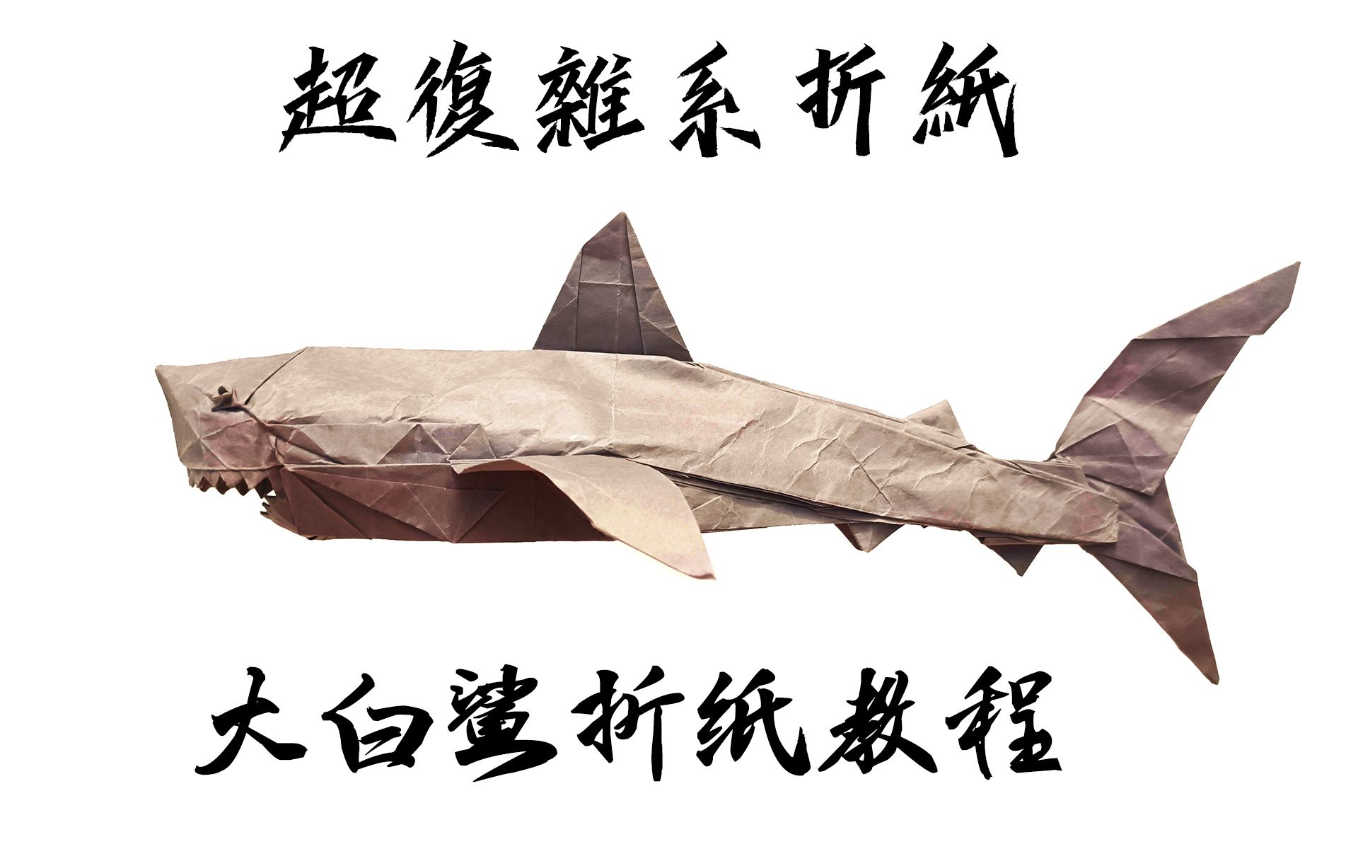 大白鲨折纸图解图片
