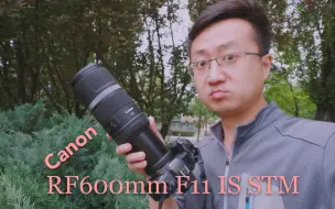 轻量化小巨炮 佳能RF600mm F11 IS STM打鸟实拍体验